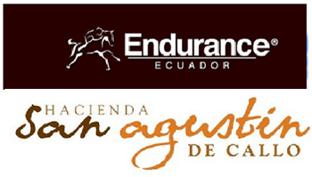 banner I CONE Ecuador